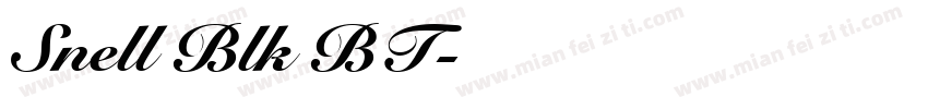 Snell Blk BT字体转换